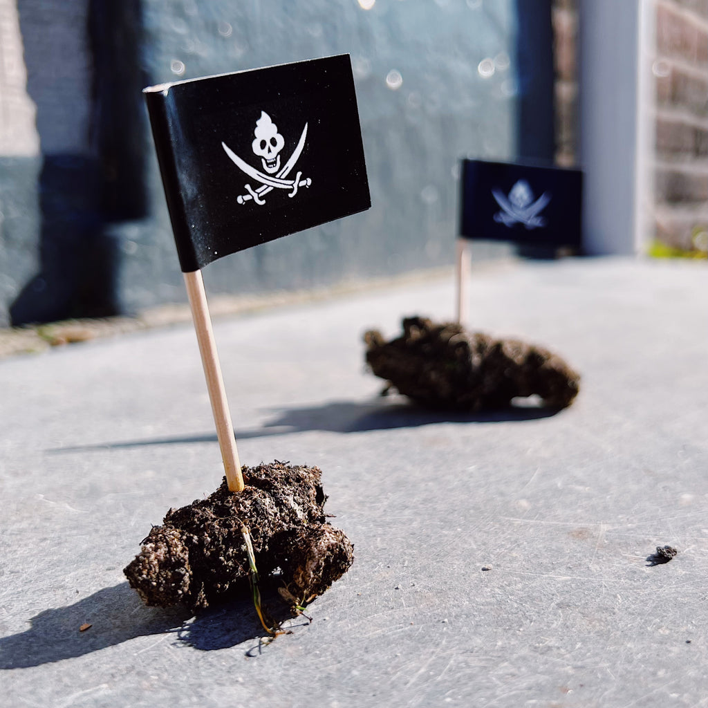 Shitvlaggetjes (20 stuks)