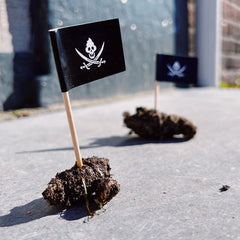 Shitvlaggetjes (20 stuks)